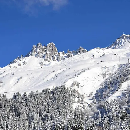 Skis Aux Pieds, Animaux Admis, 4 Pers - Fr-1-182-163